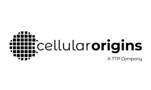 Screenshot 2026-01-23 081851-1