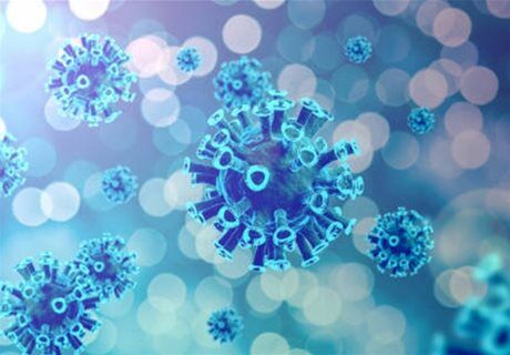Cell and Gene Therapy Series. Part 2