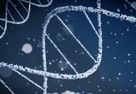 gene therapy part 5