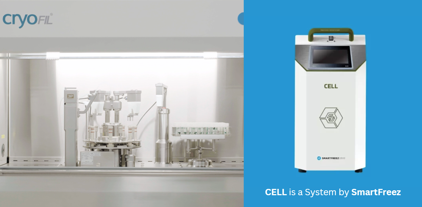 Optimising Cryovial Filling and Cryopreservation for Reliable Cell Functionality