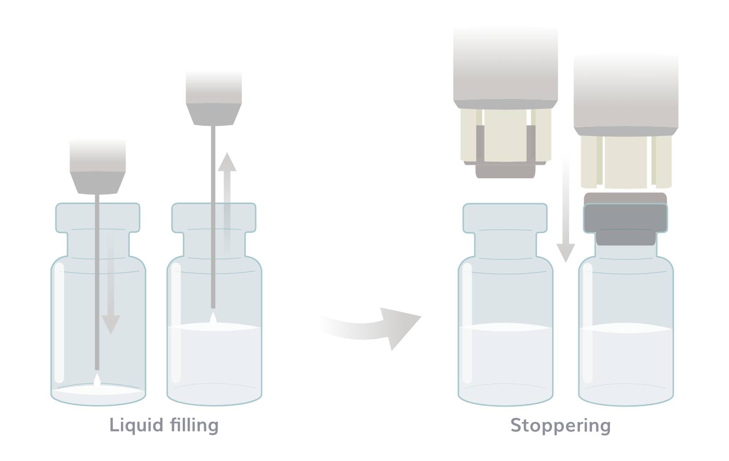 Liquid Fill-Finish Brochure GRAPHIC Liquid Fill-Finish Brochure GRAPHIC