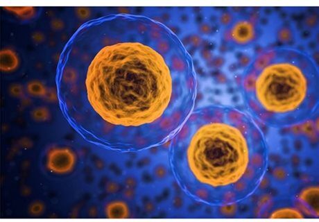 The Basics of Cell Culture: Key Steps in Manufacturing Cell Therapies
