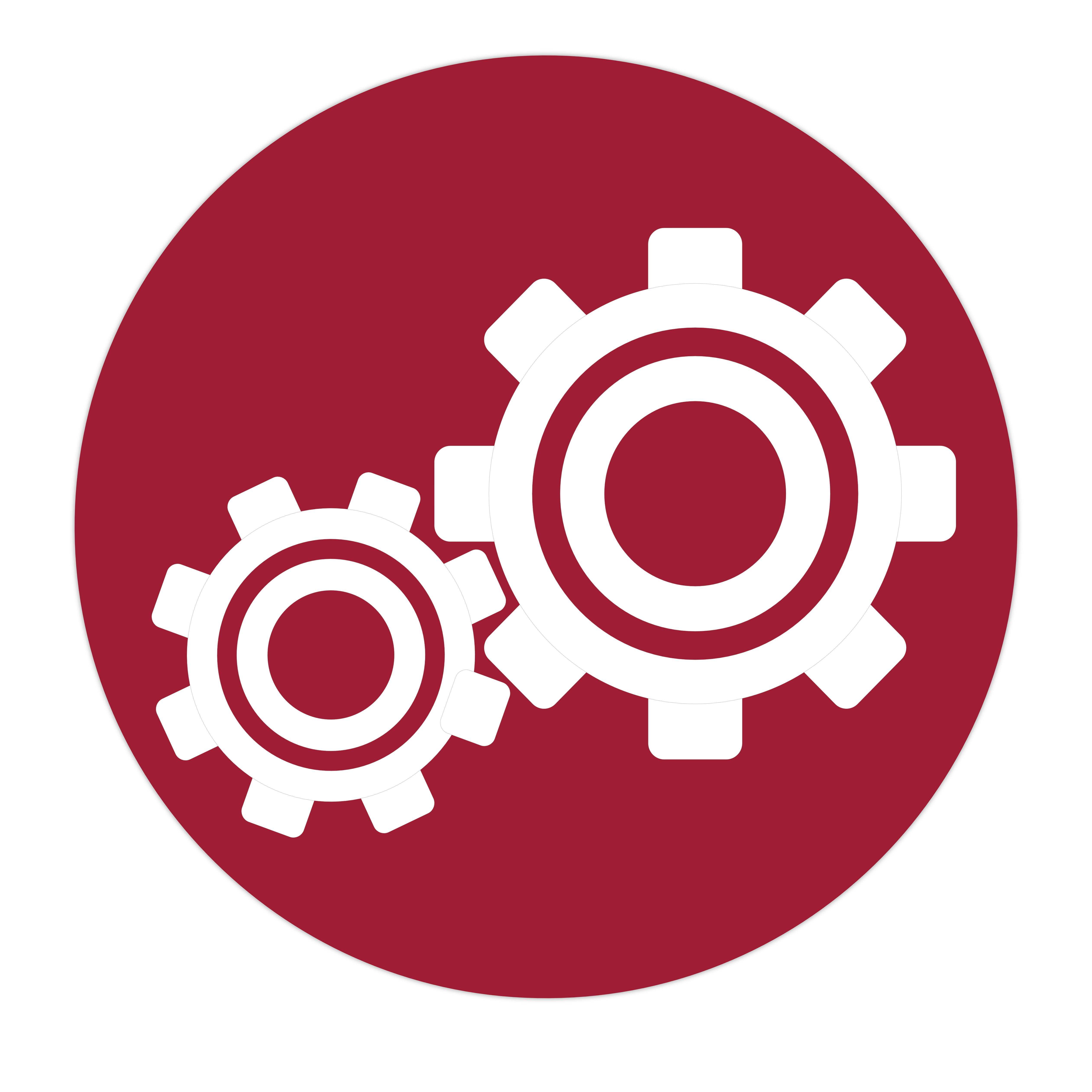 values icon