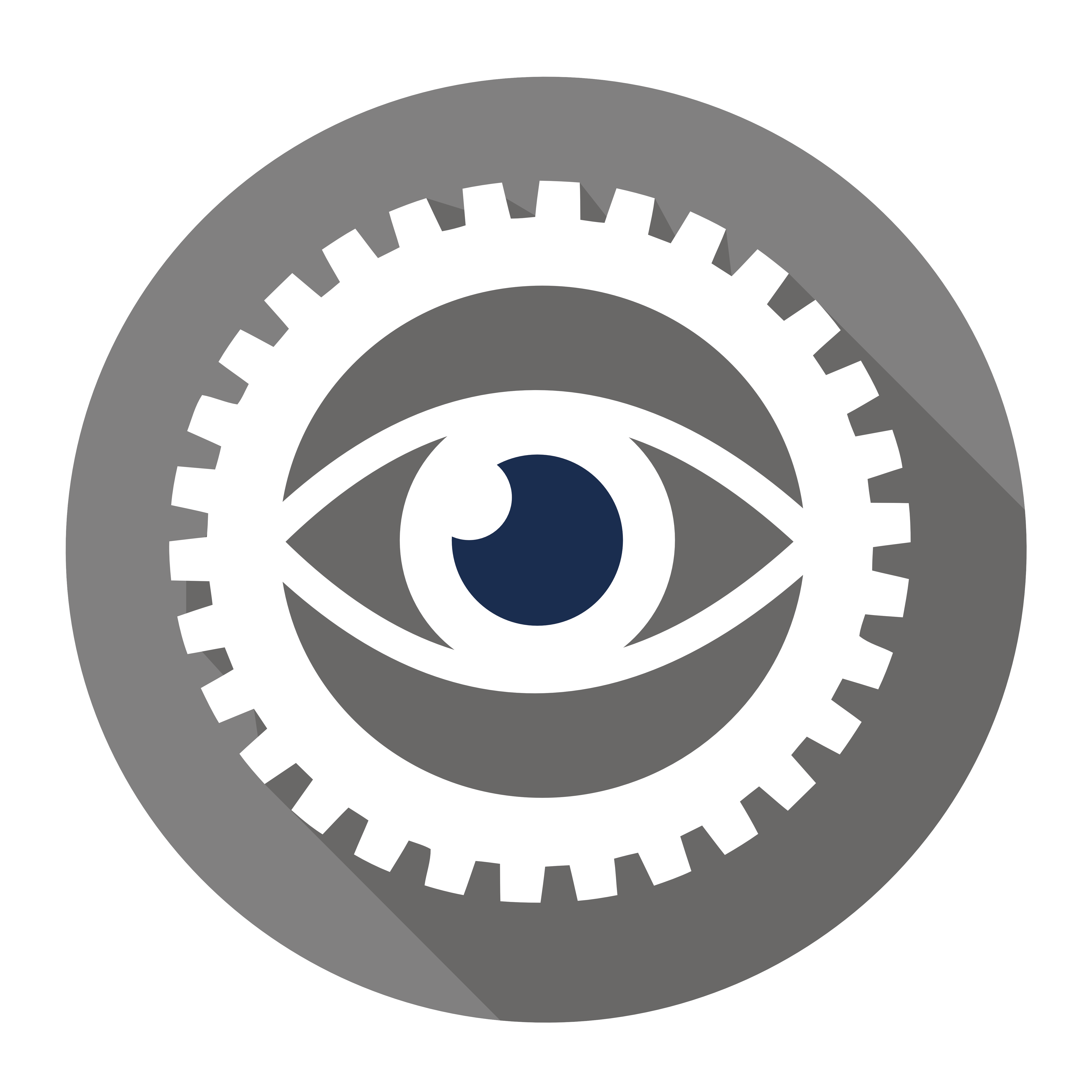 vision icon